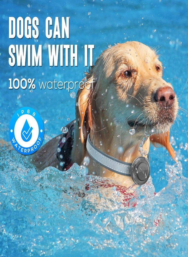 typecase حامل طوق مقاوم للماء لأجهزة Airtag للكلاب - (عبوة من قطعتين) جراب بلاستيكي متين للغاية لطوق الحيوانات الأليفة، متوافق مع أجهزة Airtag من Apple، جراب مضاد للضياع لأجهزة Airtag للكلاب والقطط، يناسب معظم الأطواق - أسود/أبيض شفاف - Image 2